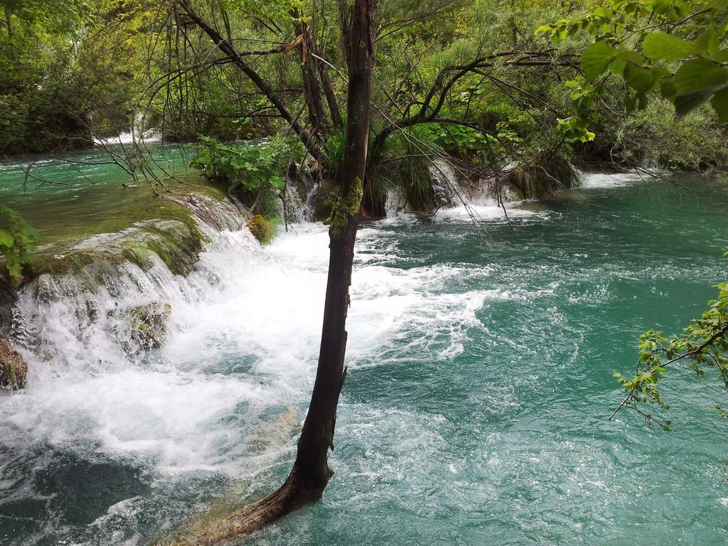 Guest House Family Varda Plitvice Lakes Плитвицкие озёра Экстерьер фото